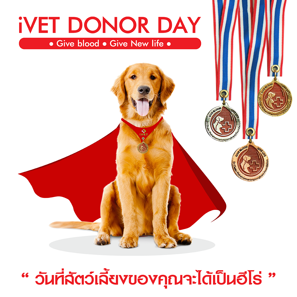 “ iVET DONOR DAY วันที่สัตว์เลี้ยงของคุณจะได้เป็นฮีโร่ “ “ iVET DONOR DAY วันที่สัตว์เลี้ยงของคุณจะได้เป็นฮีโร่ “
